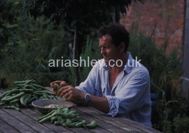 MONTY DON 20