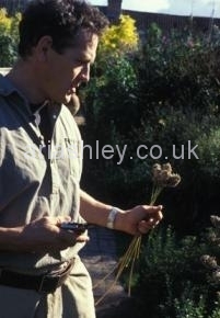 MONTY DON 21