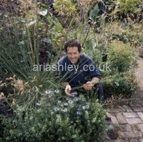 MONTY DON 9

