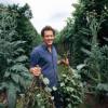 MONTY DON 6